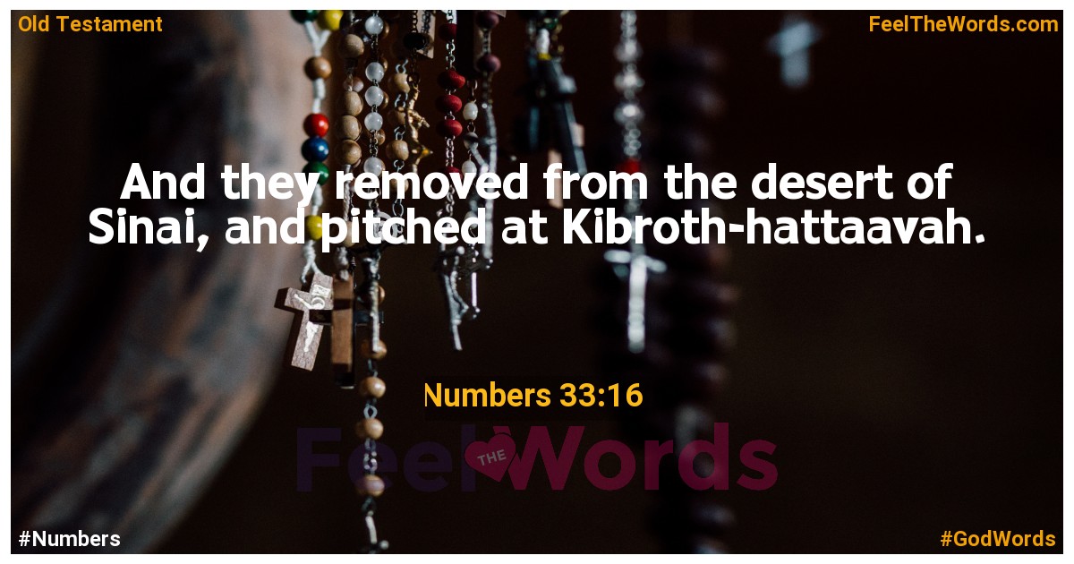 Numbers 33:16