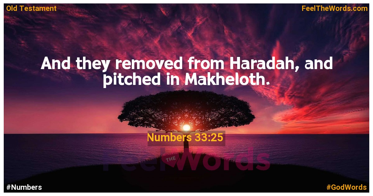 Numbers 33:25