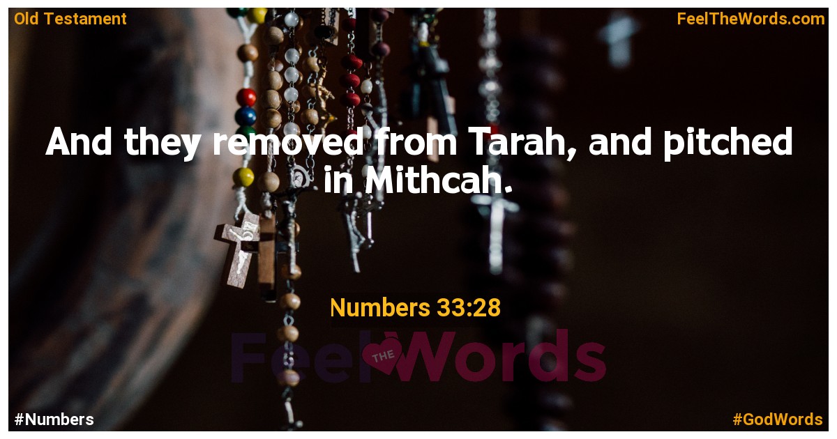 Numbers 33:28