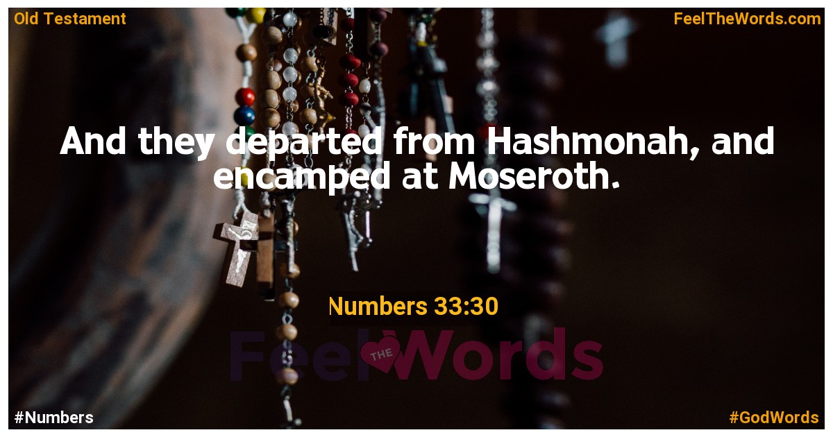 Numbers 33:30
