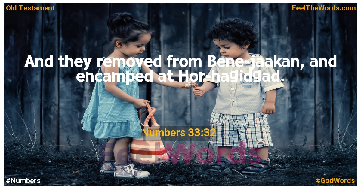 Numbers 33:32