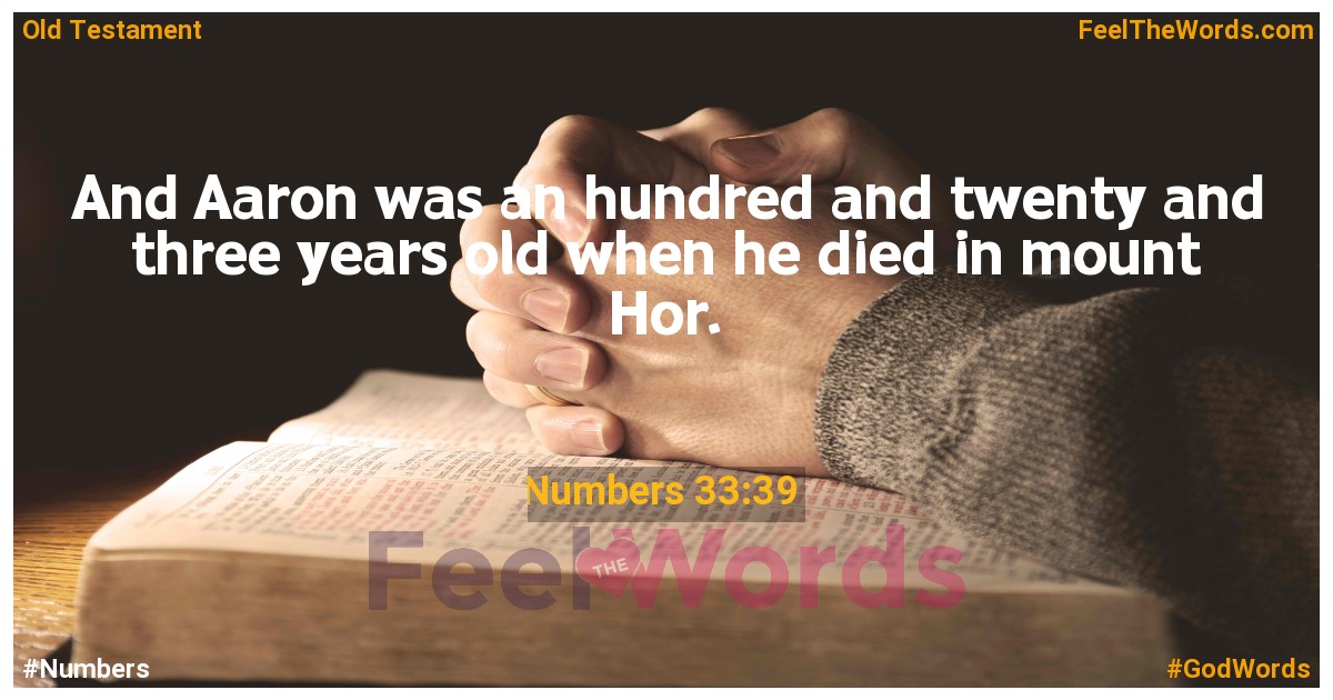 Numbers 33:39