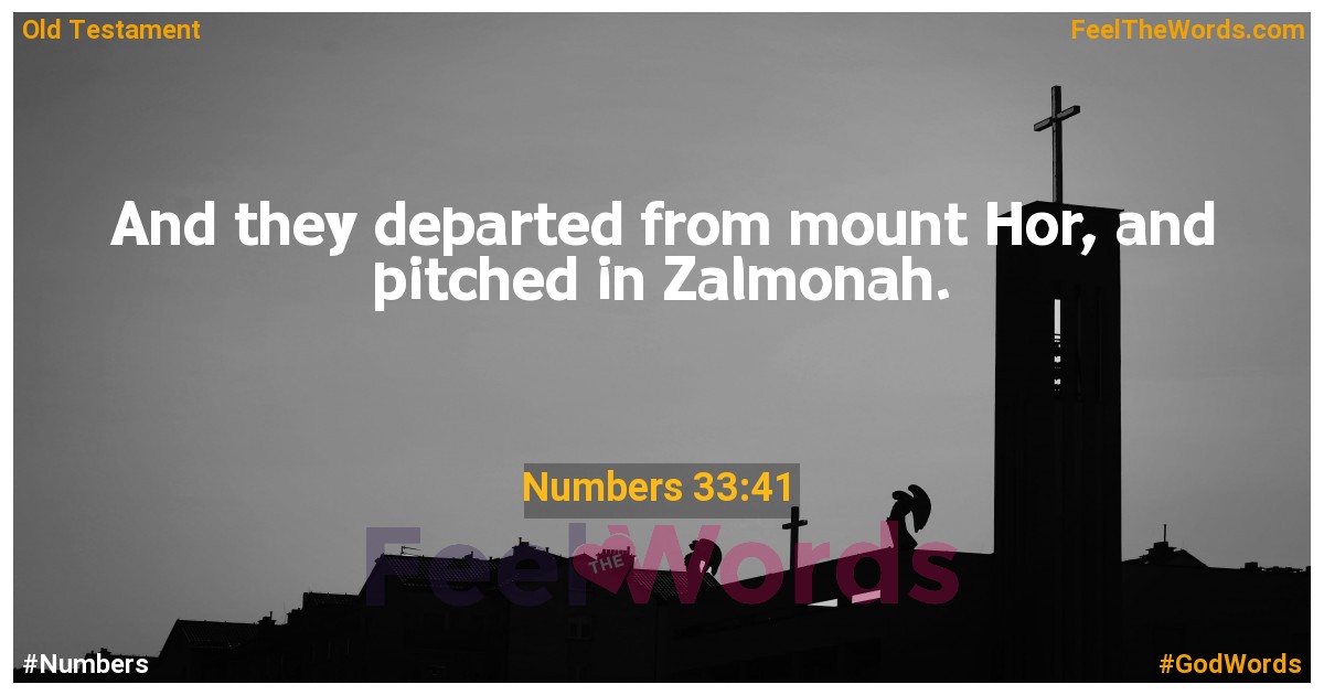 Numbers 33:41