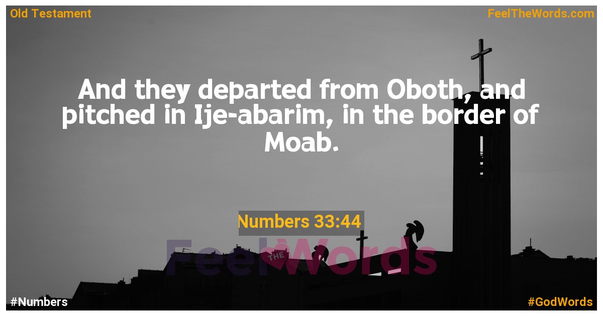 Numbers 33:44