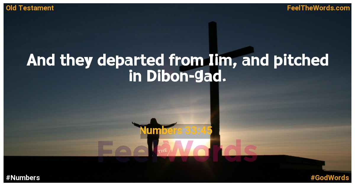Numbers 33:45