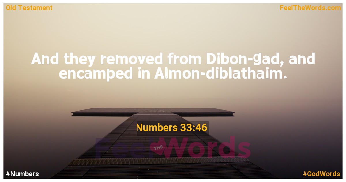 Numbers 33:46