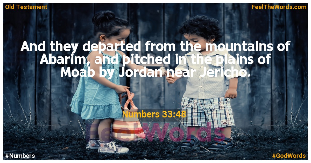 Numbers 33:48