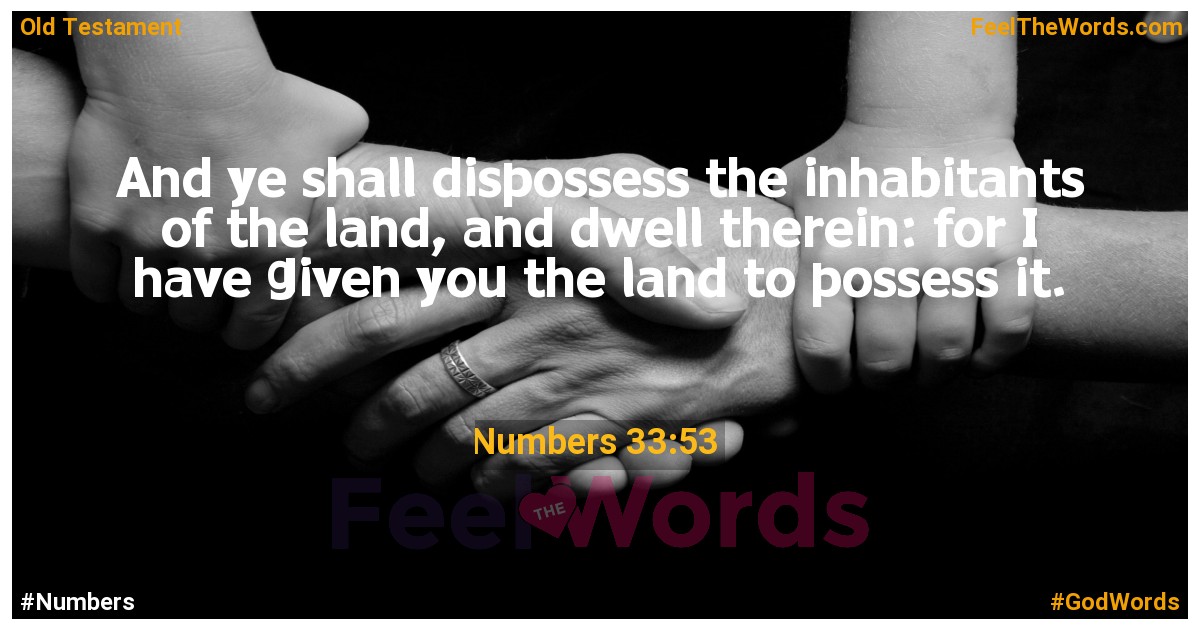Numbers 33:53