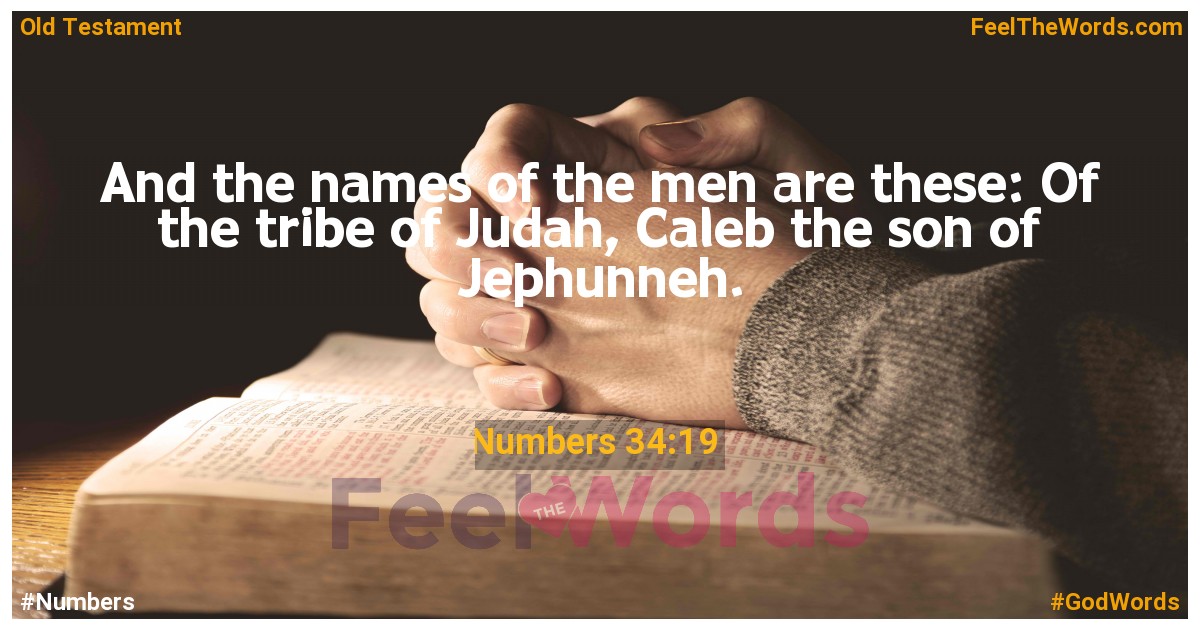 Numbers 34:19