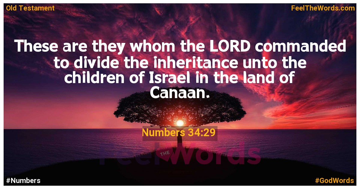 Numbers 34:29