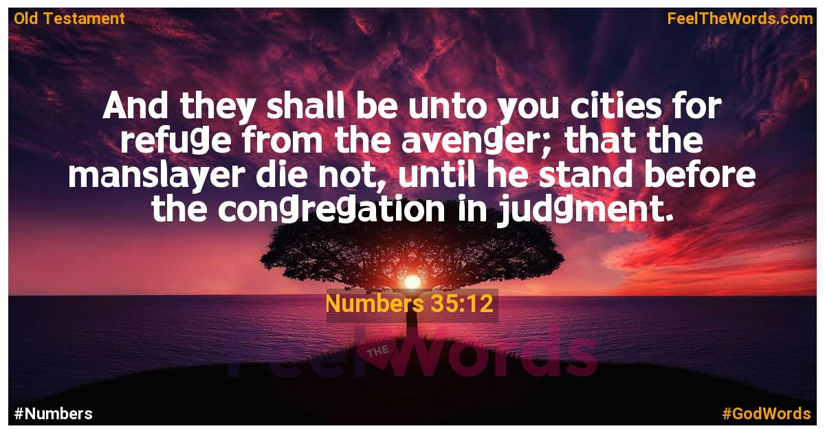 Numbers 35:12