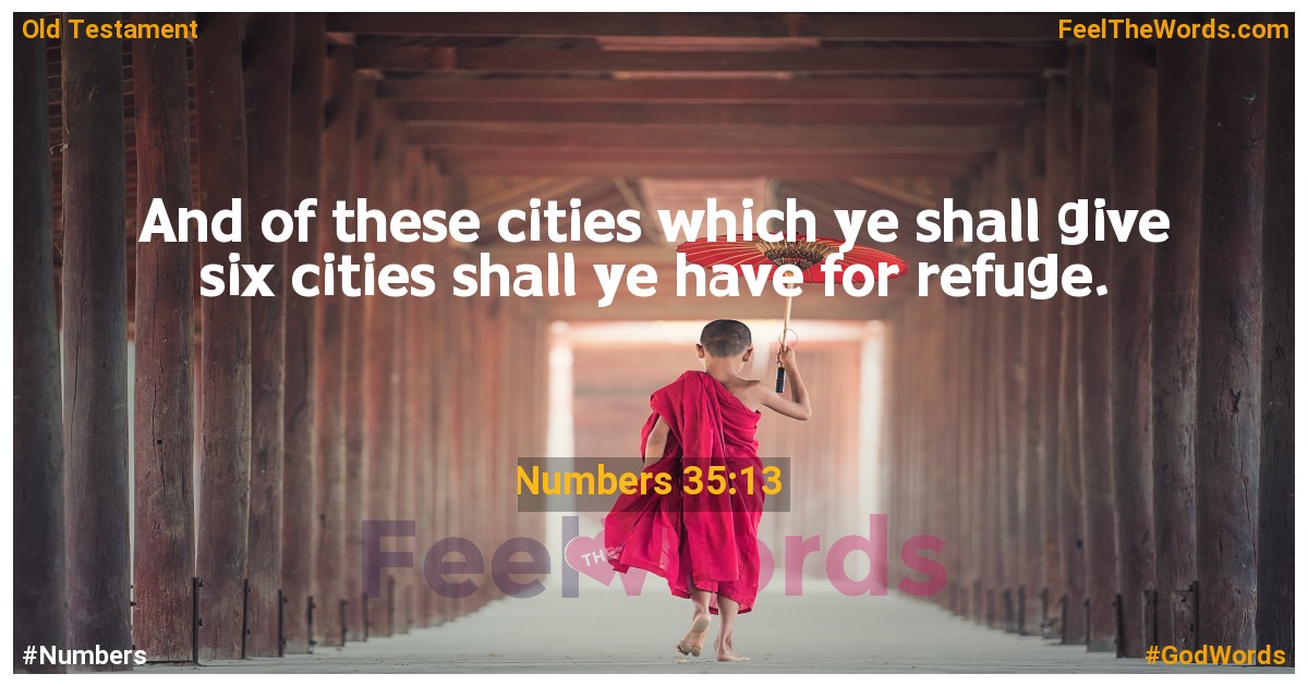 Numbers 35:13