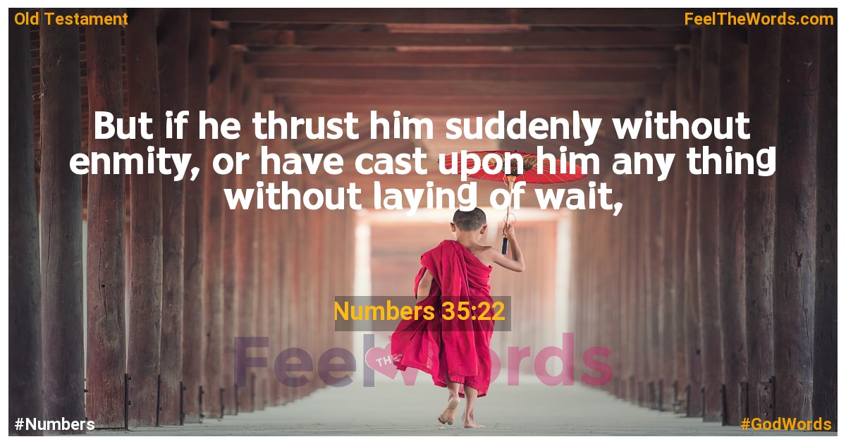 Numbers 35:22