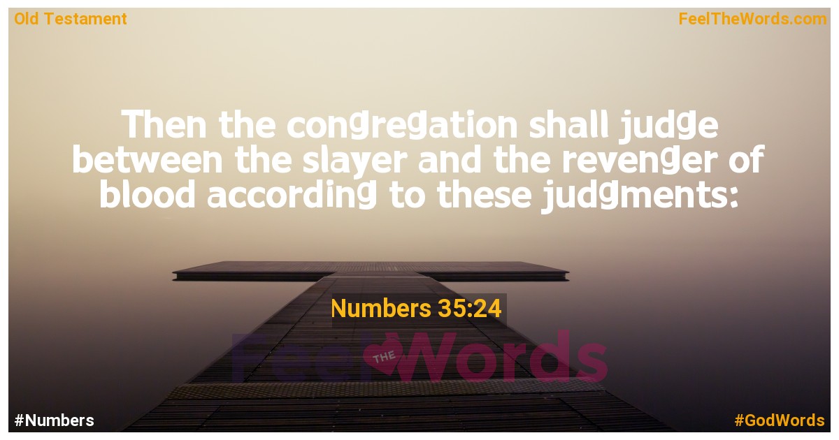 Numbers 35:24