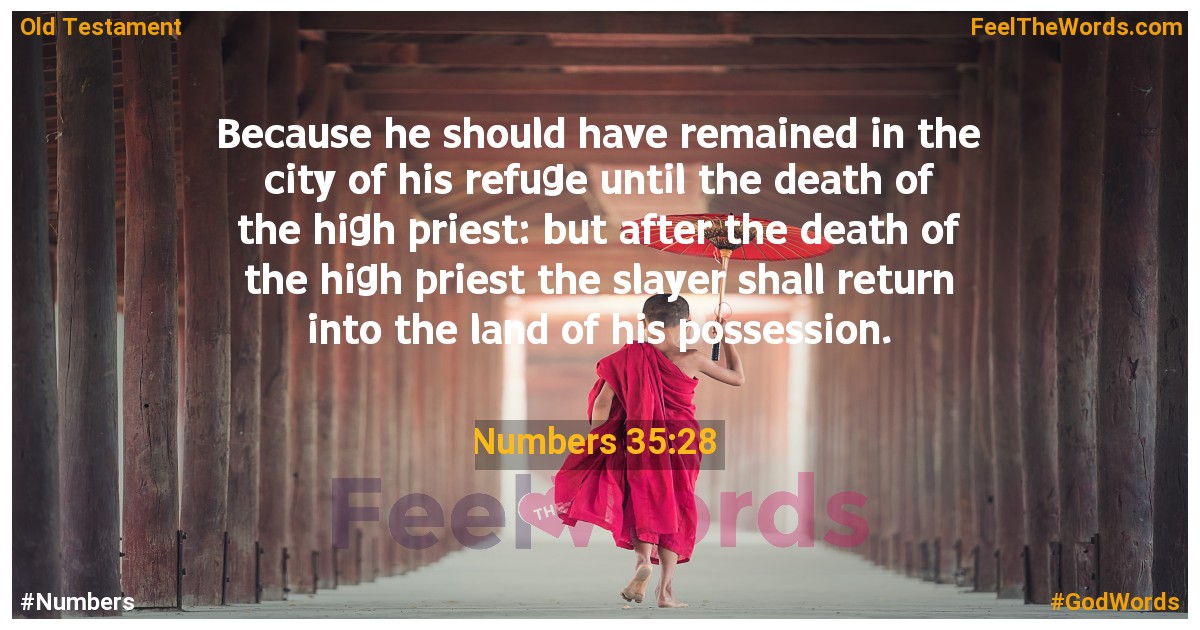 Numbers 35:28