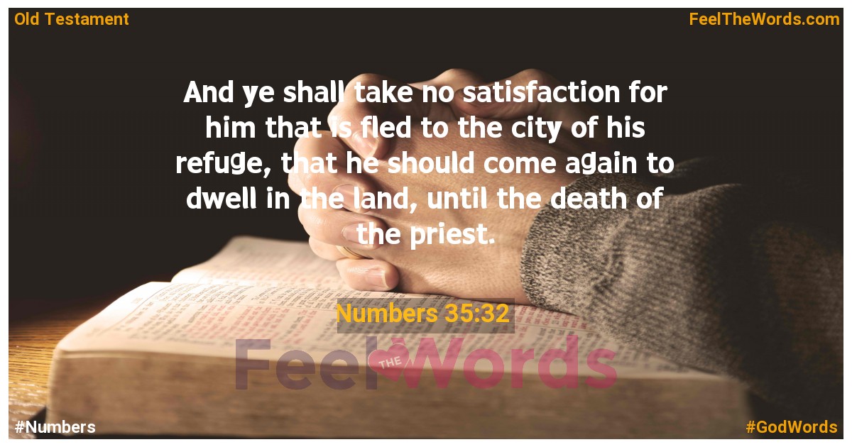 Numbers 35:32