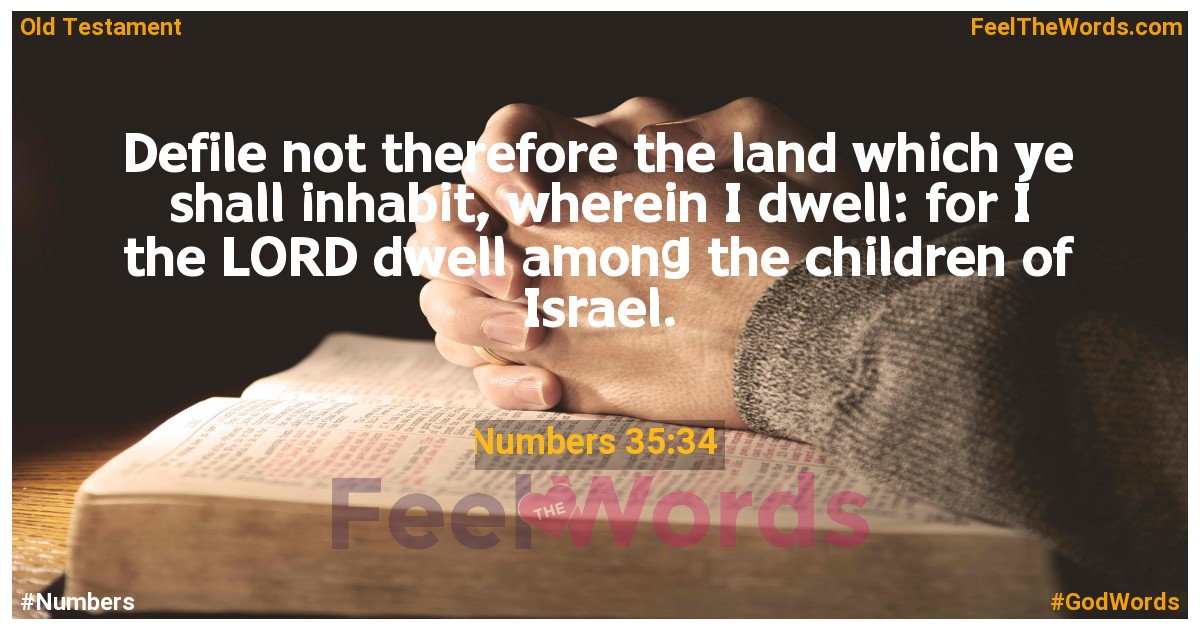 Numbers 35:34