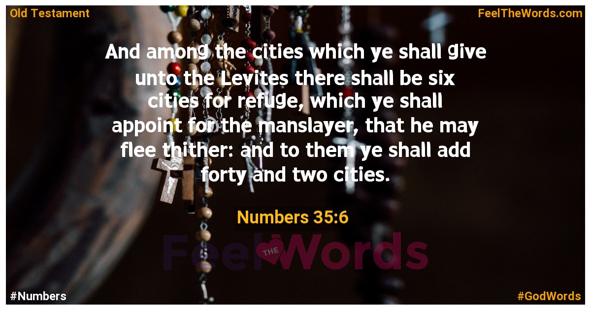 Numbers 35:6