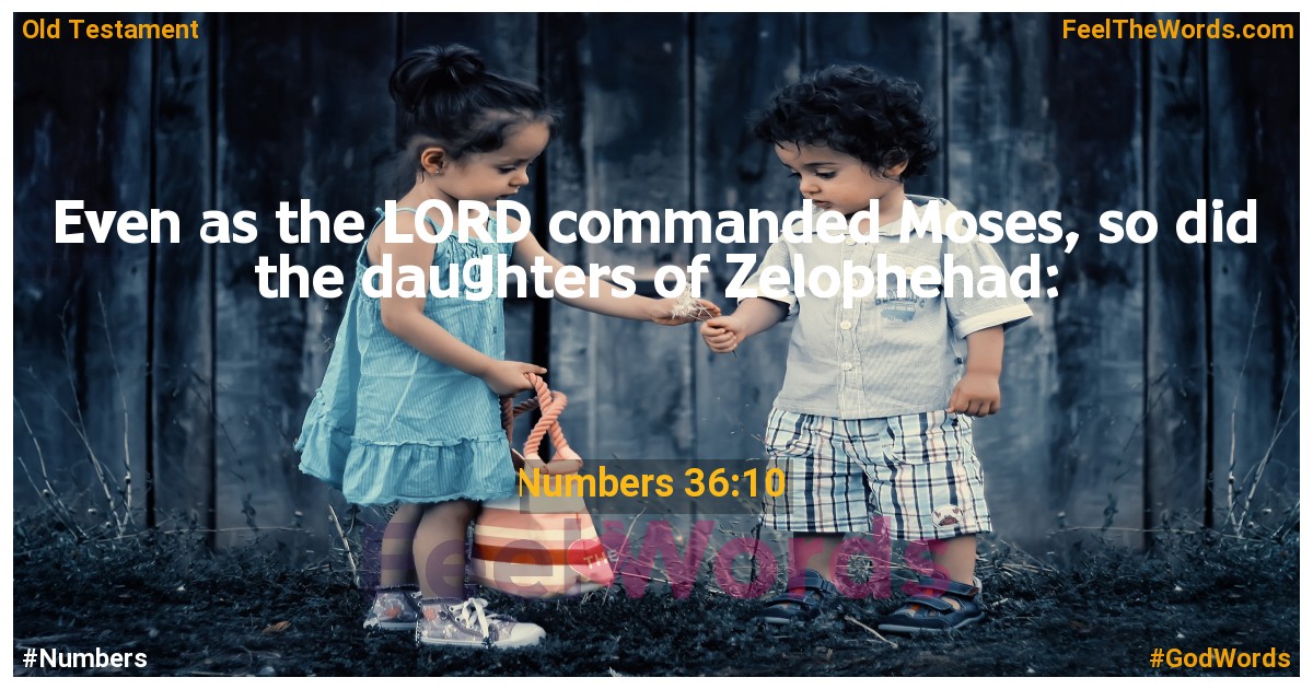 Numbers 36:10