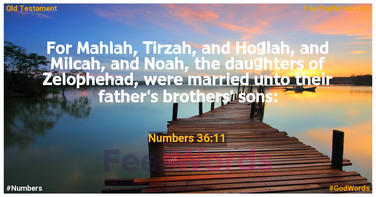 Numbers 36:11