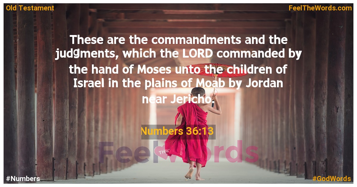 Numbers 36:13