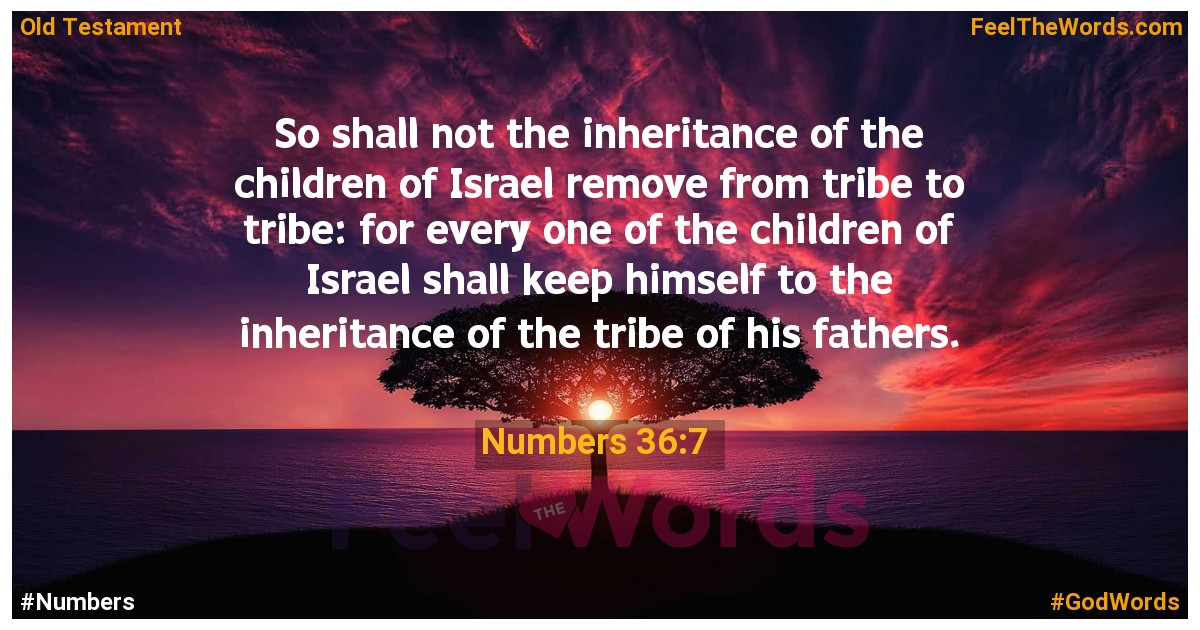 Numbers 36:7