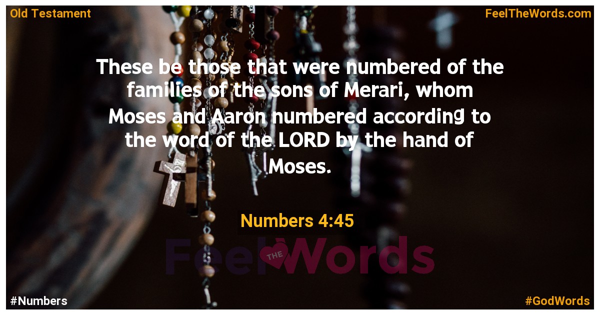 Numbers 4:45