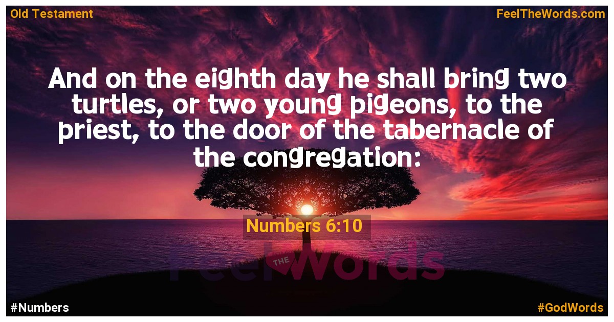 Numbers 6:10