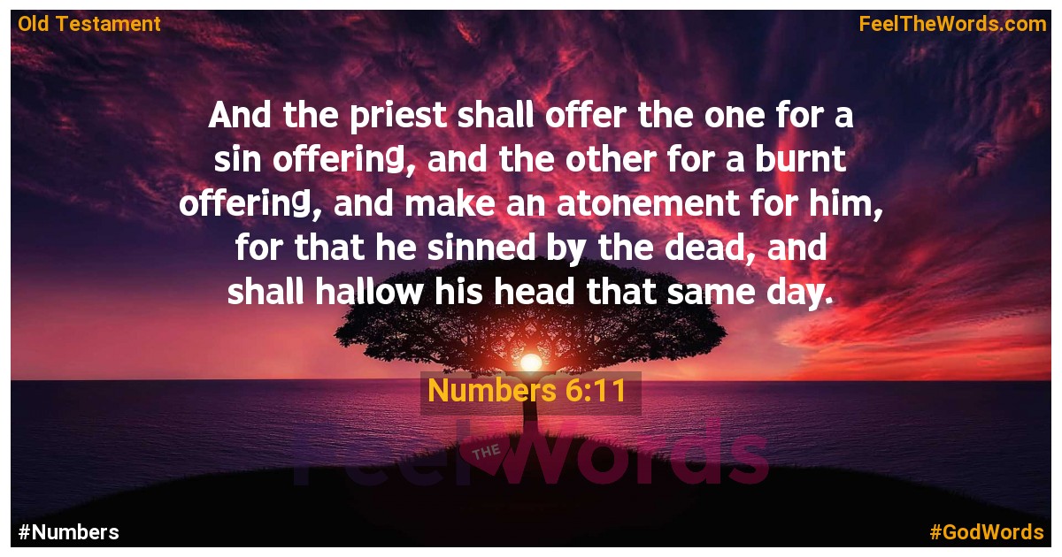 Numbers 6:11
