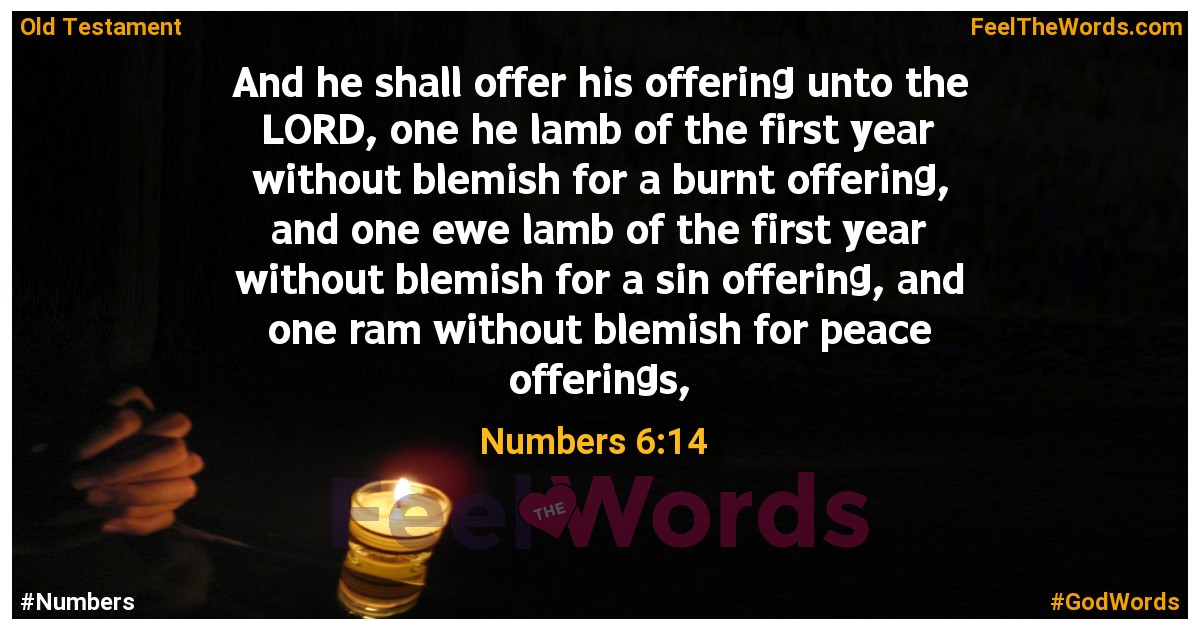 Numbers 6:14
