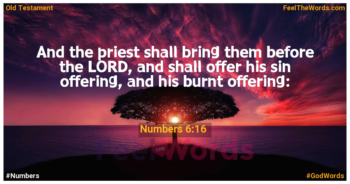 Numbers 6:16