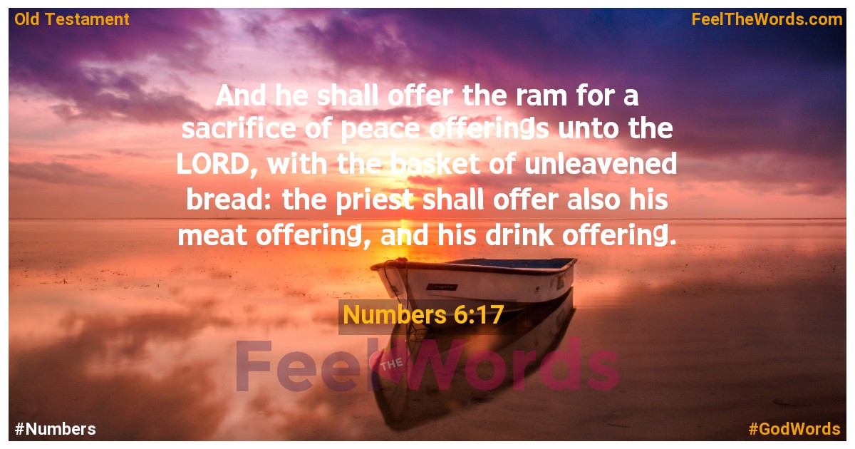 Numbers 6:17