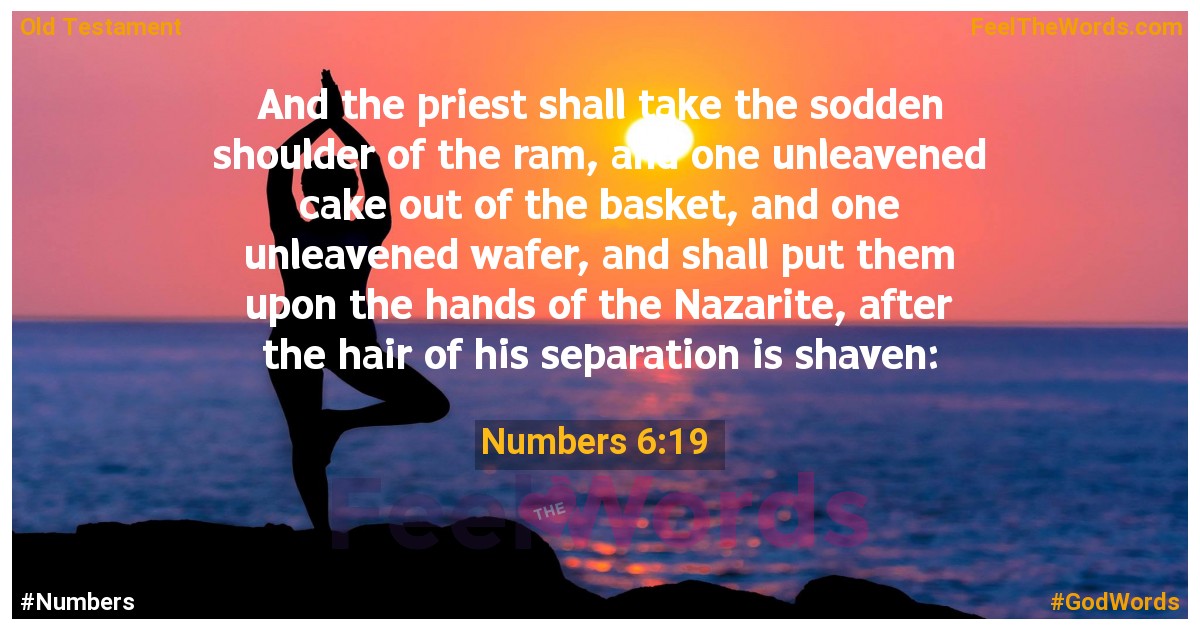 Numbers 6:19