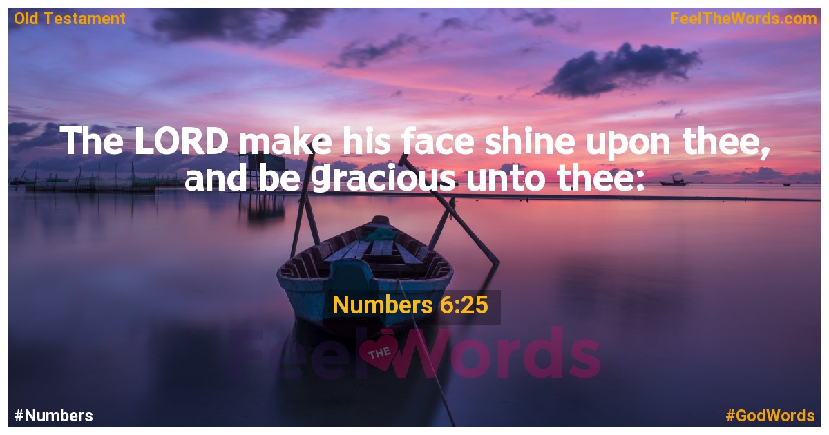 Numbers 6:25
