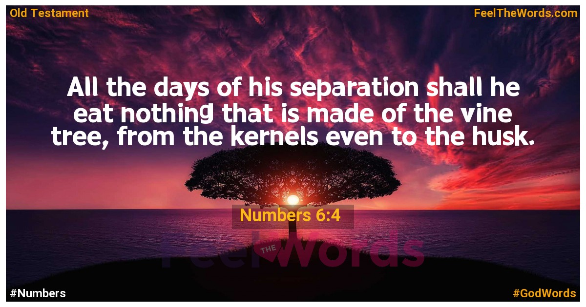 Numbers 6:4