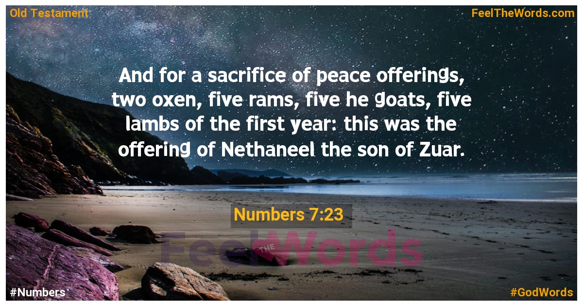 Numbers 7:23