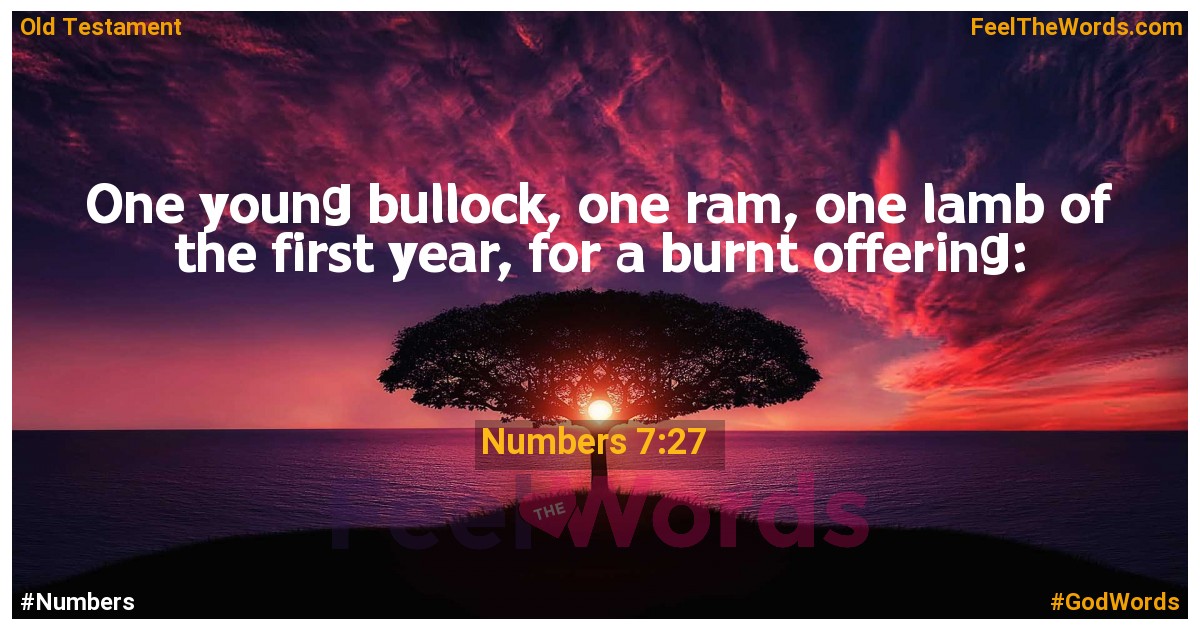 Numbers 7:27