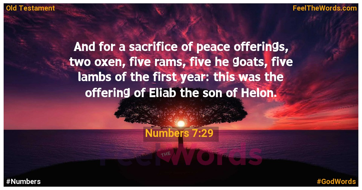 Numbers 7:29