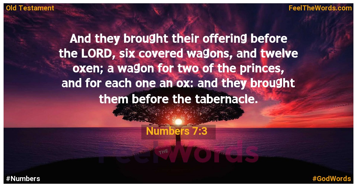 Numbers 7:3