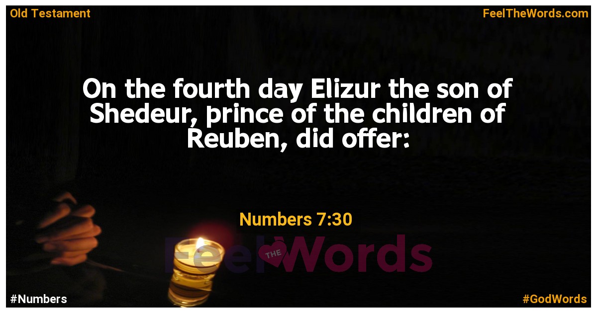Numbers 7:30