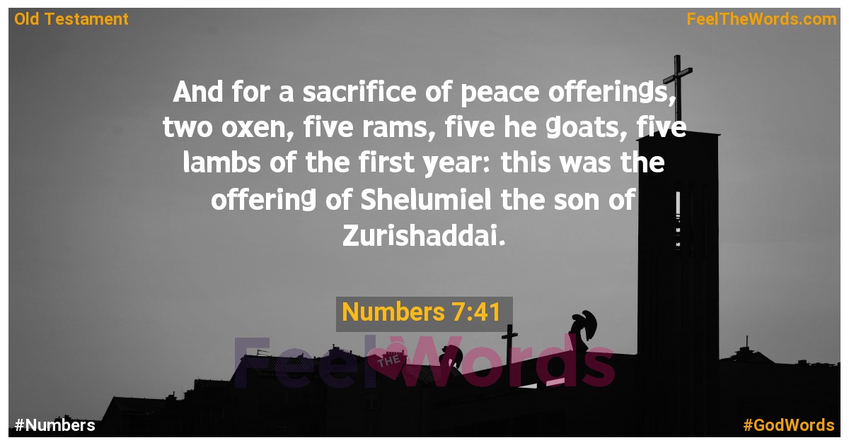 Numbers 7:41