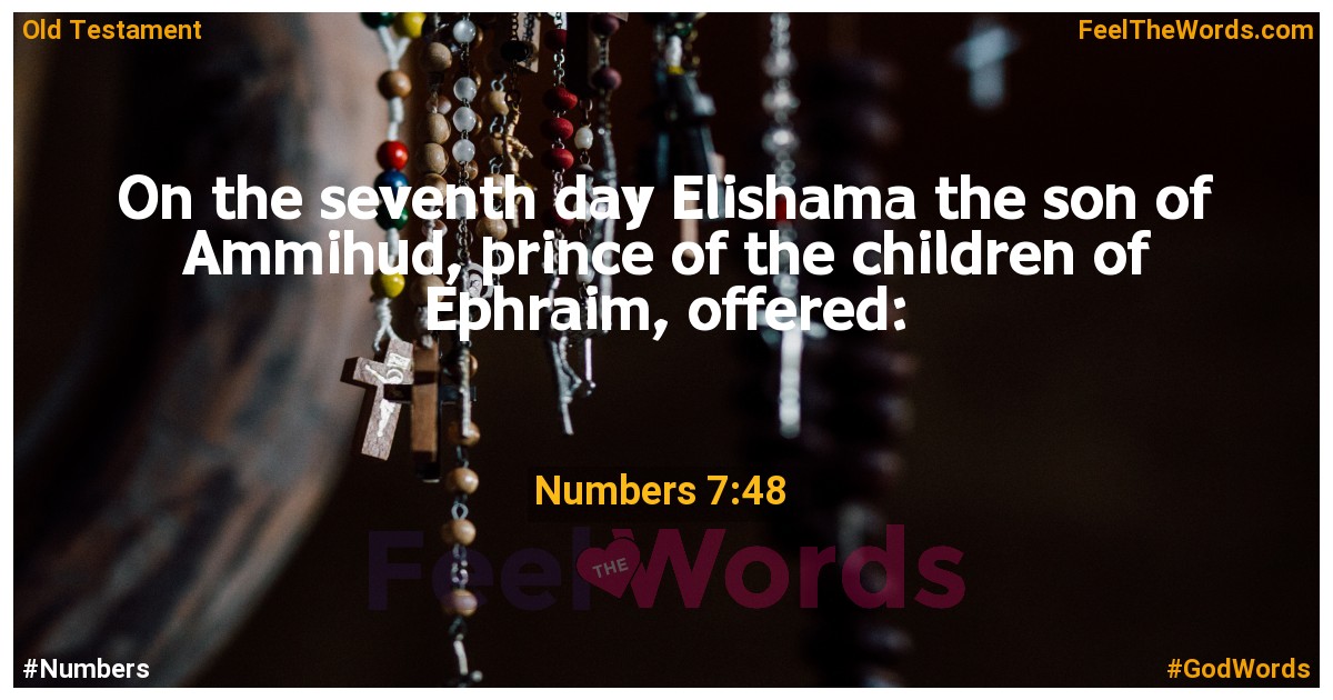 Numbers 7:48