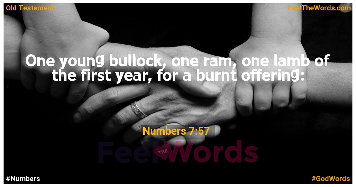 Numbers 7:57