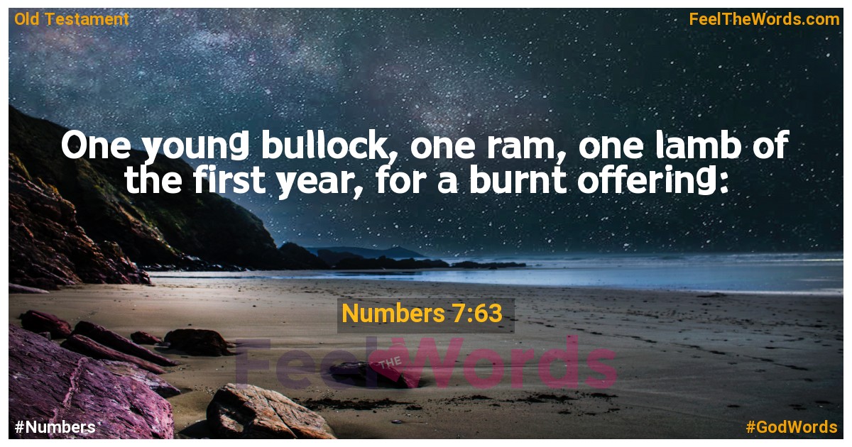 Numbers 7:63