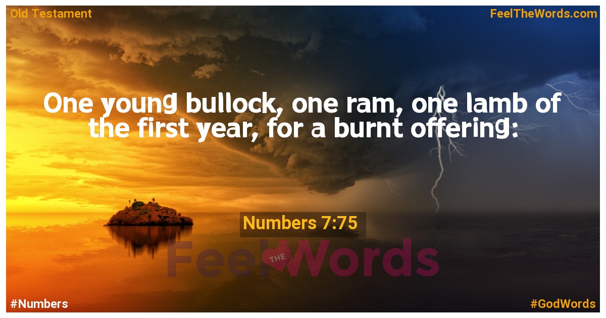 Numbers 7:75