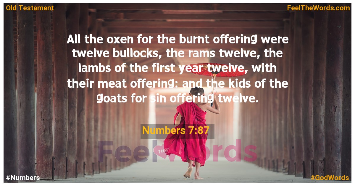 Numbers 7:87