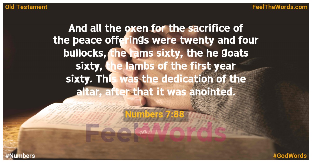 Numbers 7:88