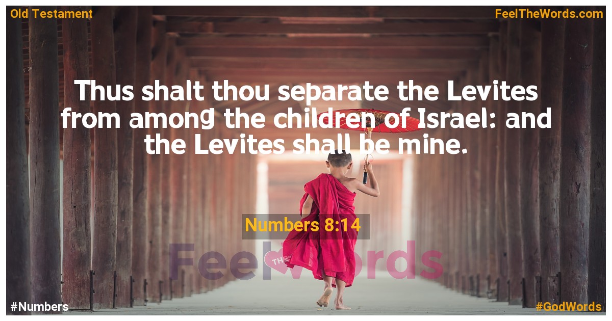 Numbers 8:14