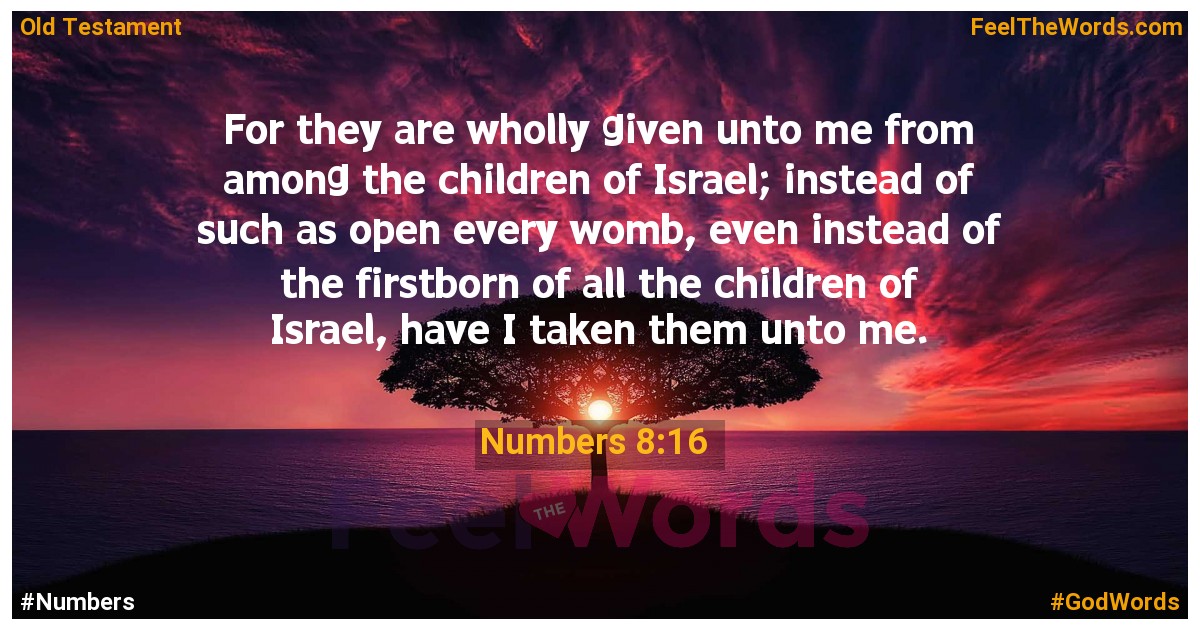 Numbers 8:16
