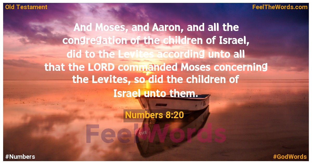 Numbers 8:20